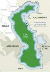 image-2.png