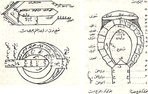 image-11.png