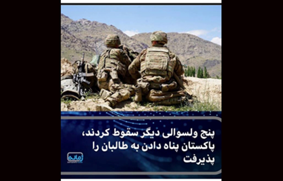 image-1.png