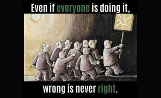 image-3.png