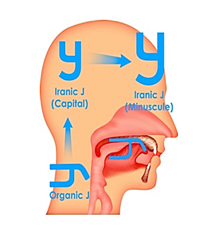 image-12.png